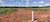 Terreno, 2 hectares - Foto 4