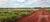 Terreno, 2 hectares - Foto 3