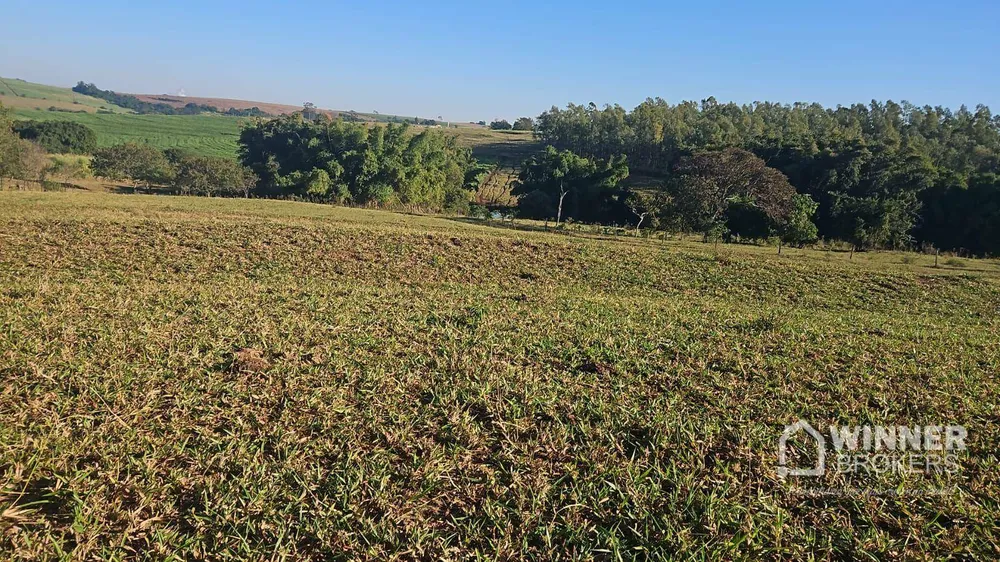 Sítio, 1 quarto, 24 hectares - Foto 6