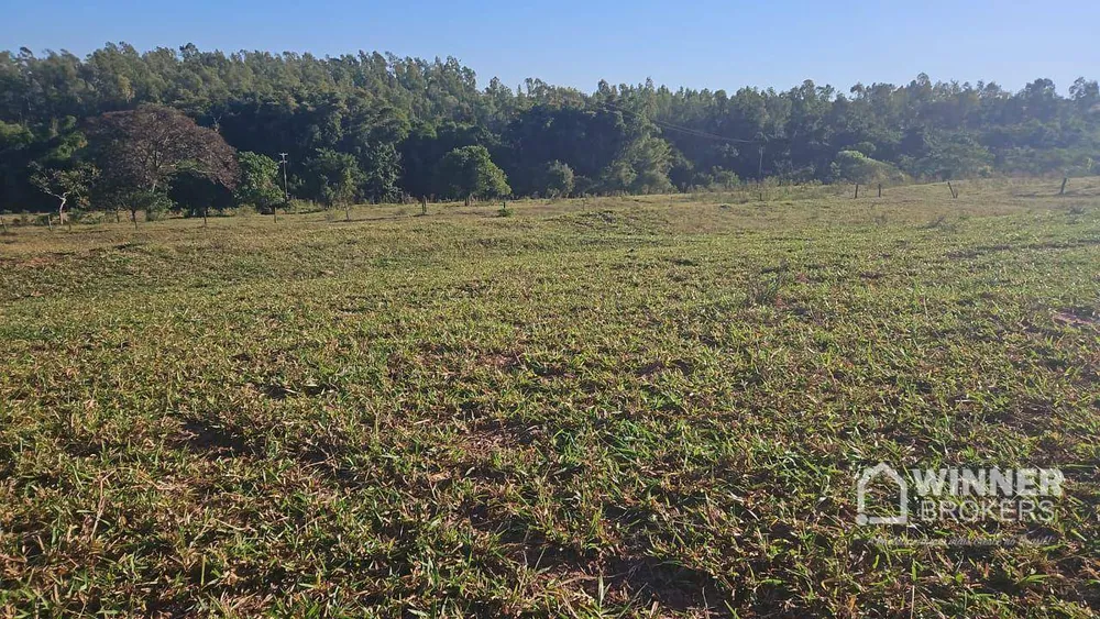 Sítio, 1 quarto, 24 hectares - Foto 4