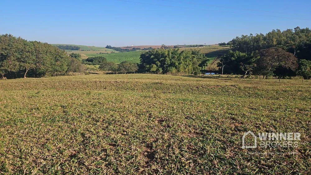 Sítio, 1 quarto, 24 hectares - Foto 3