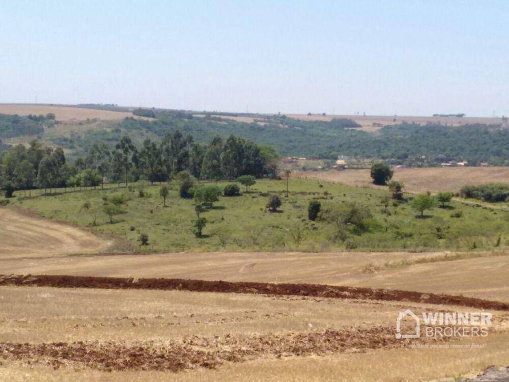 Chácara à venda, 20000M2 - Foto 4