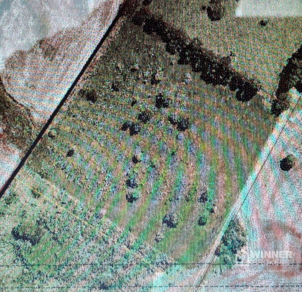 Chácara à venda, 20000M2 - Foto 6