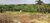 Chácara, 1 quarto, 15 hectares - Foto 1