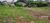 Chácara, 1 quarto, 15 hectares - Foto 2