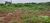 Chácara, 1 quarto, 15 hectares - Foto 4