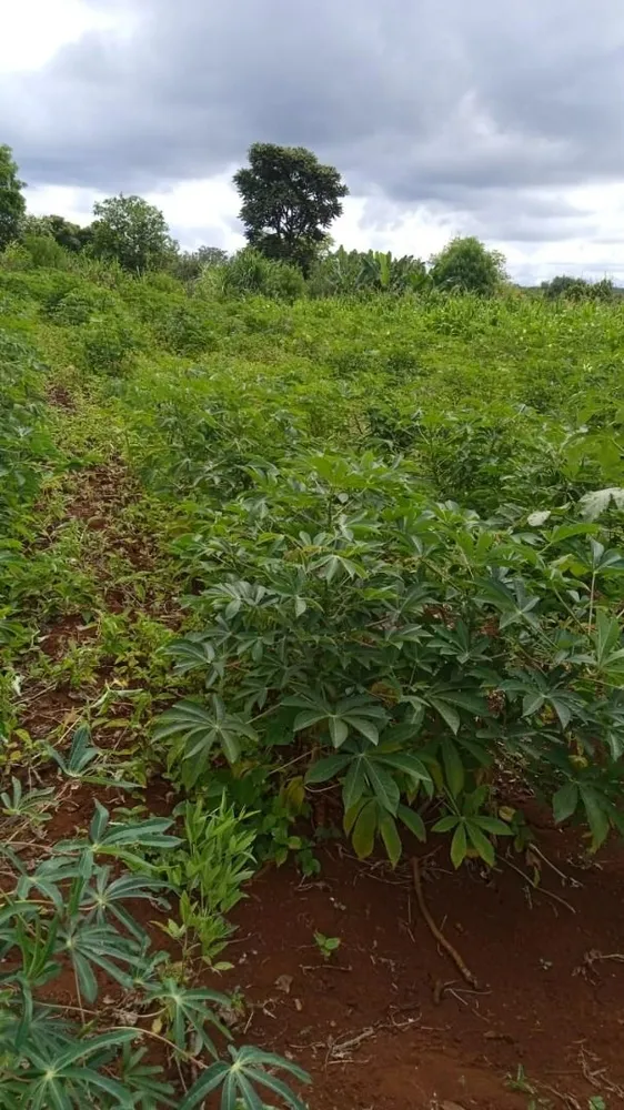 Loteamento e Condomínio, 4030 m² - Foto 3