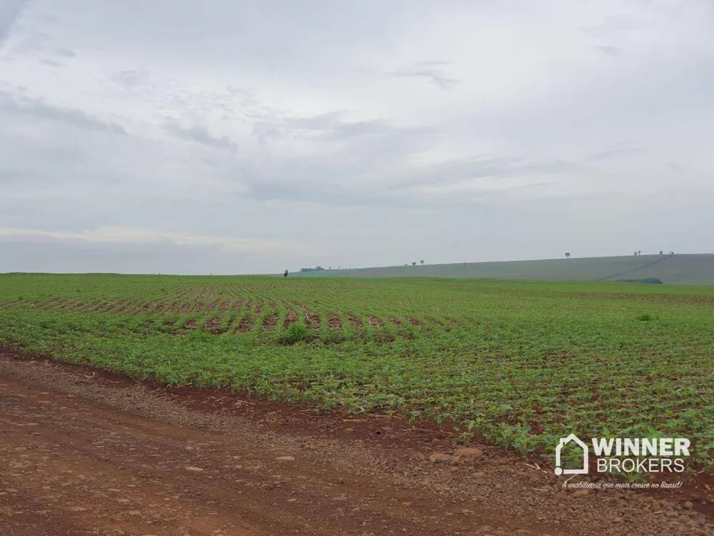 Sítio, 15 hectares - Foto 4