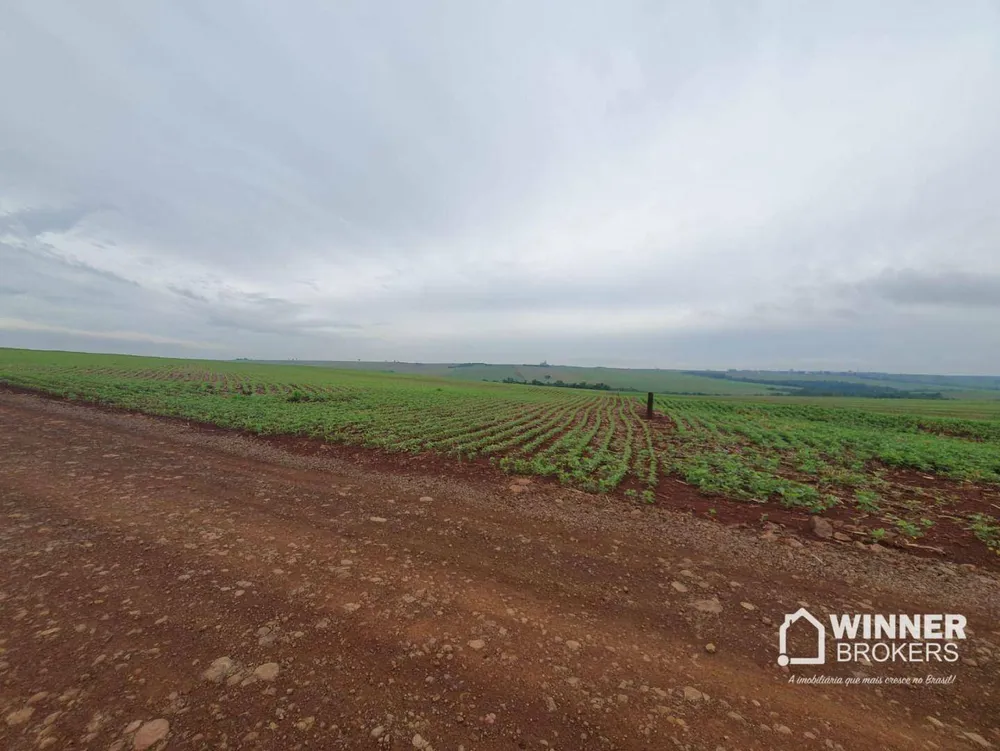 Sítio, 15 hectares - Foto 1