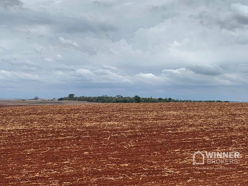 Fazenda, 806 hectares - Foto 11