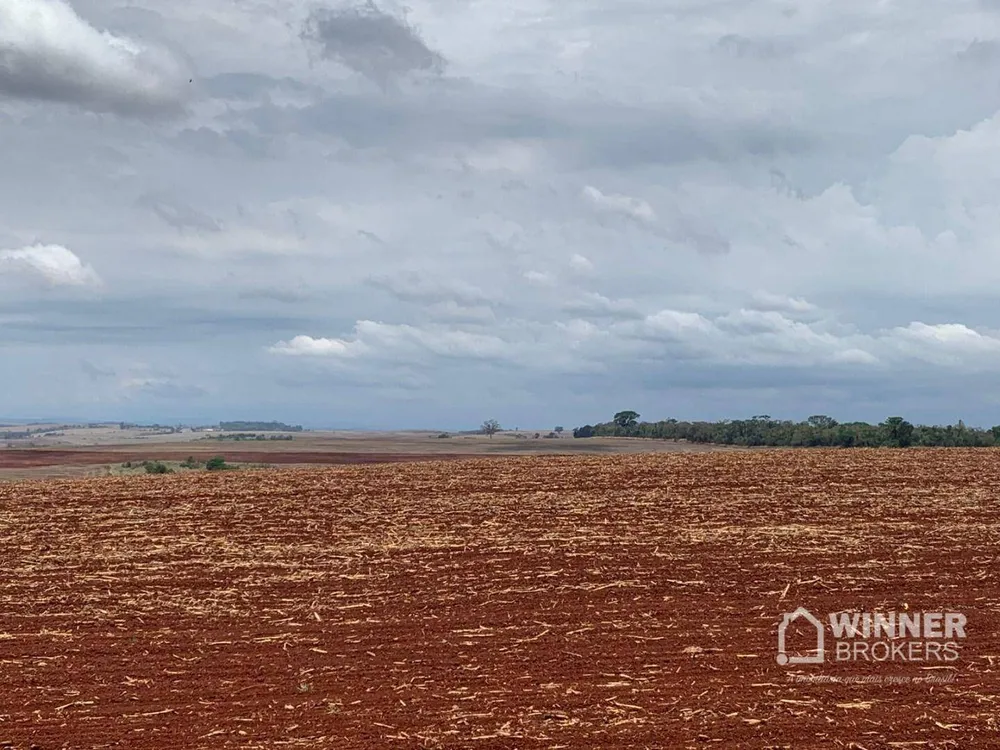 Fazenda, 806 hectares - Foto 7