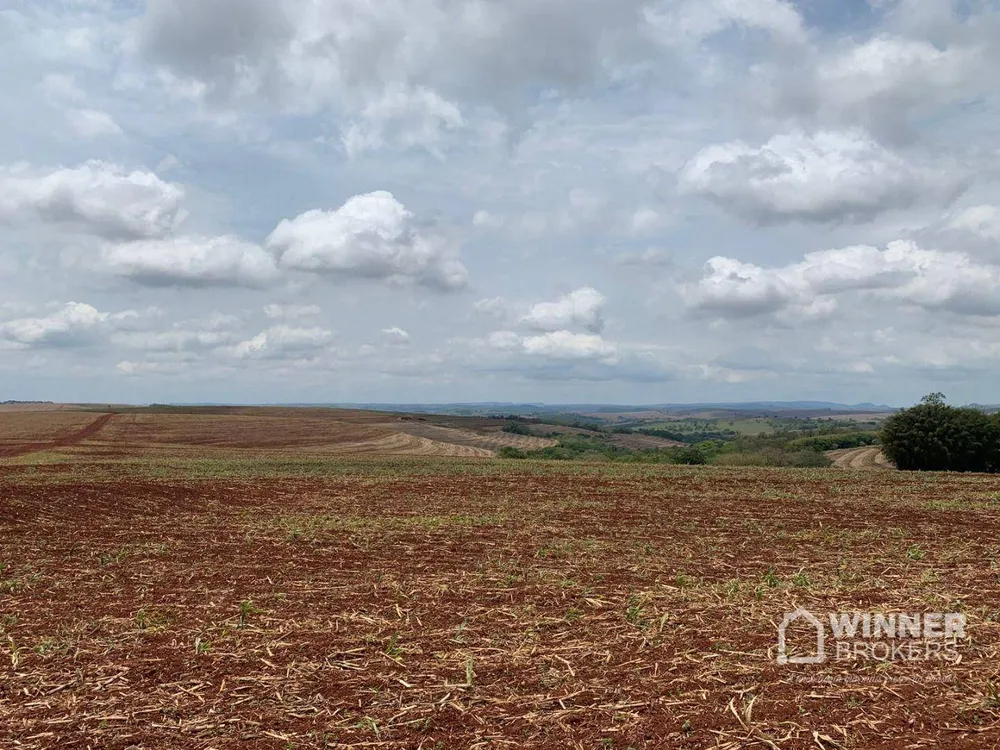Fazenda, 806 hectares - Foto 12