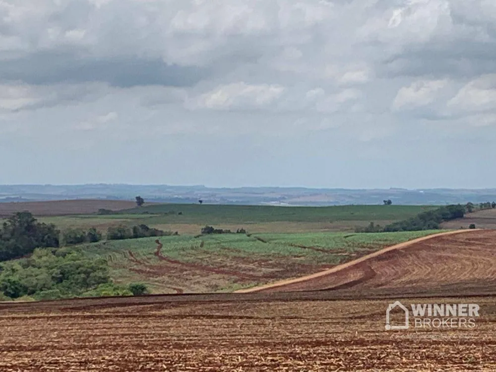 Fazenda, 806 hectares - Foto 6