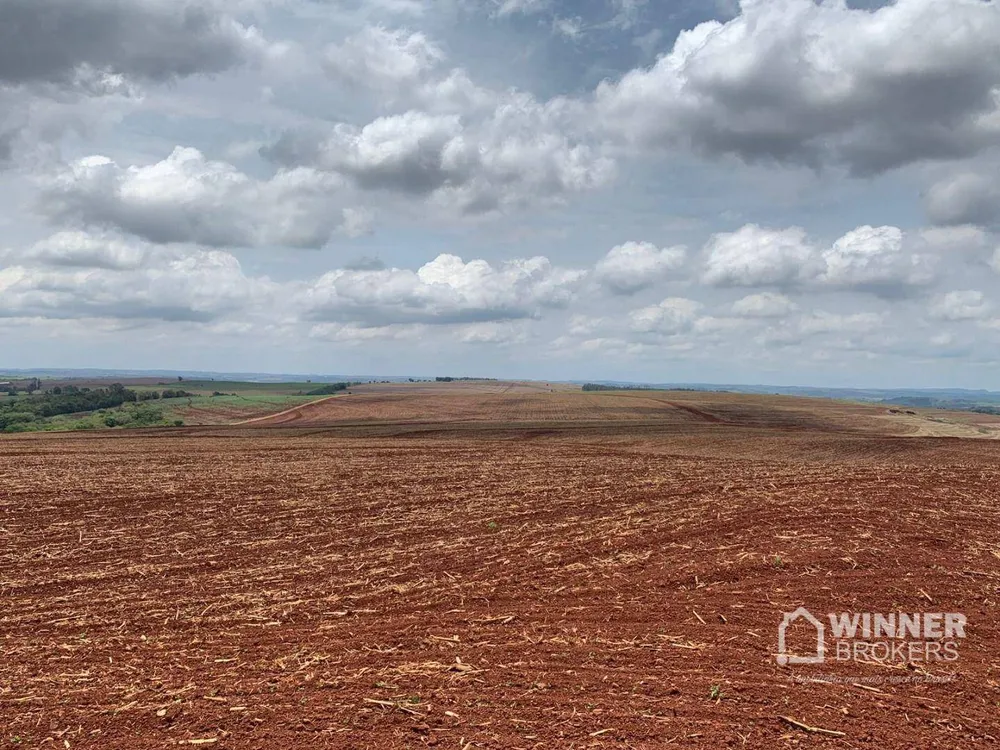 Fazenda, 806 hectares - Foto 9