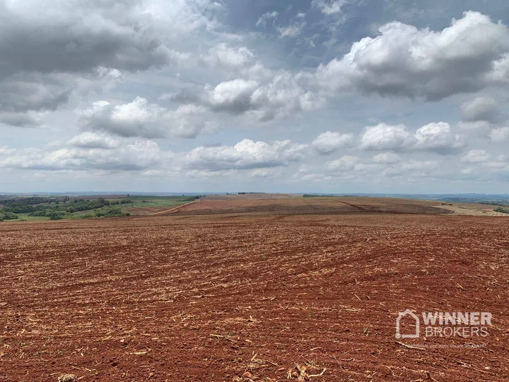 Fazenda, 806 hectares - Foto 10