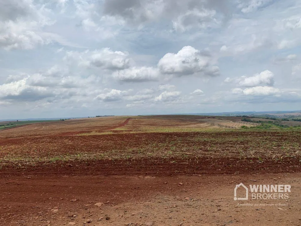 Fazenda, 806 hectares - Foto 3