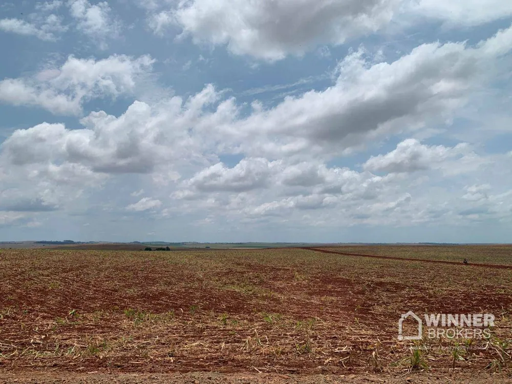 Fazenda, 806 hectares - Foto 4