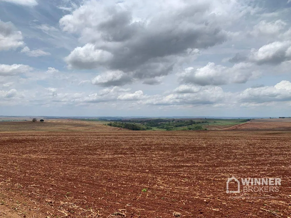 Fazenda, 806 hectares - Foto 1