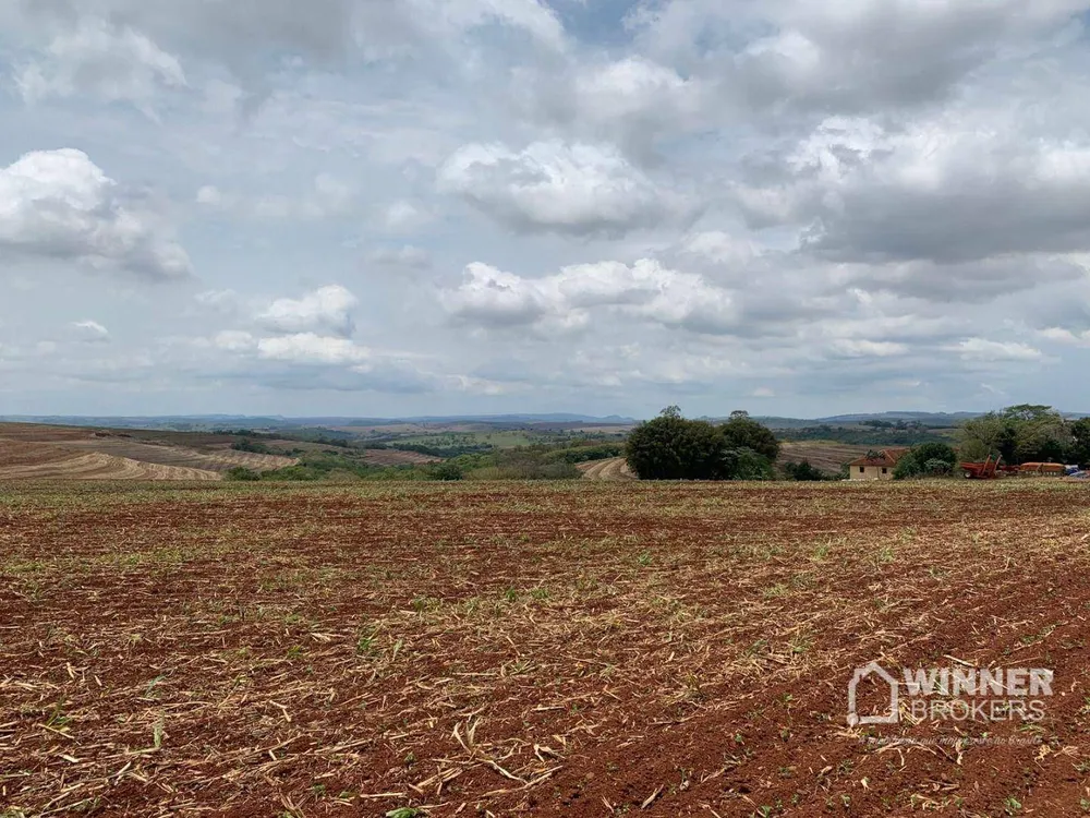 Fazenda, 806 hectares - Foto 8