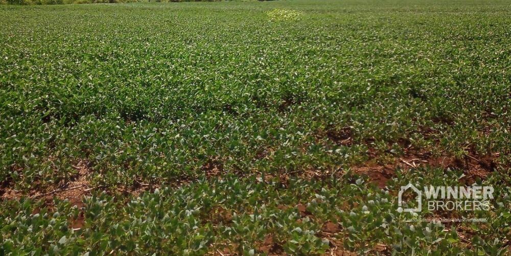 Terreno, 2 hectares - Foto 1