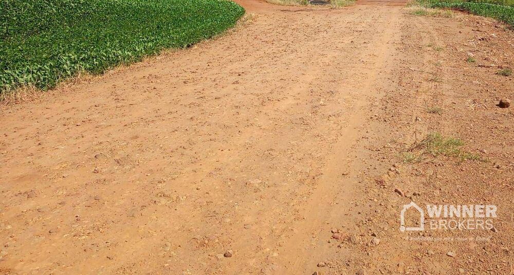 Terreno, 2 hectares - Foto 2