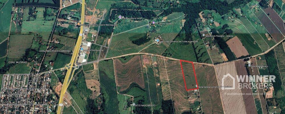 Terreno, 4 hectares - Foto 6