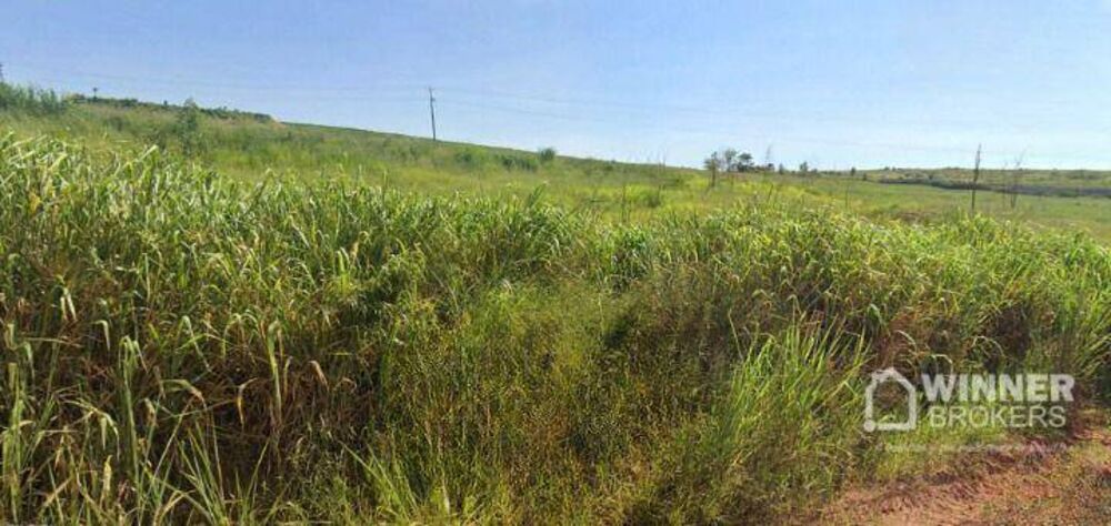 Terreno, 4 hectares - Foto 5