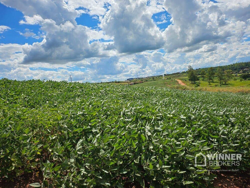 Terreno, 4 hectares - Foto 1