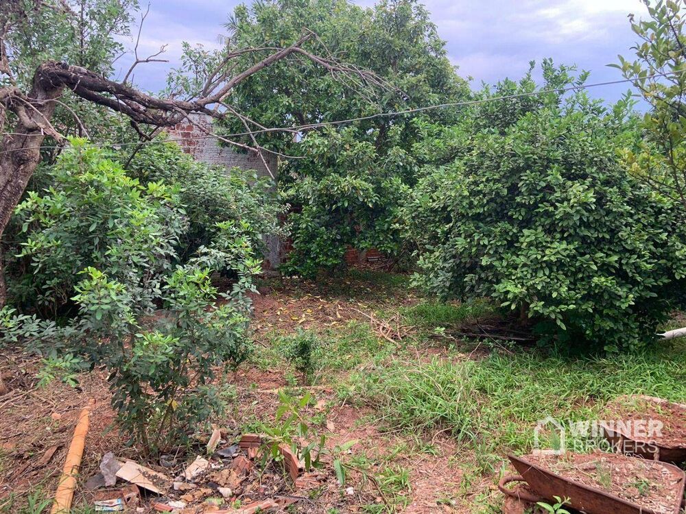 Casa, 4 quartos - Foto 12