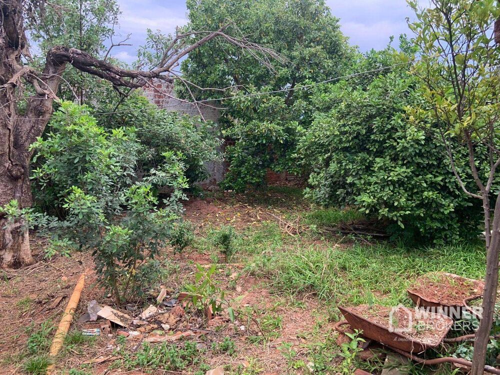 Casa, 4 quartos - Foto 10