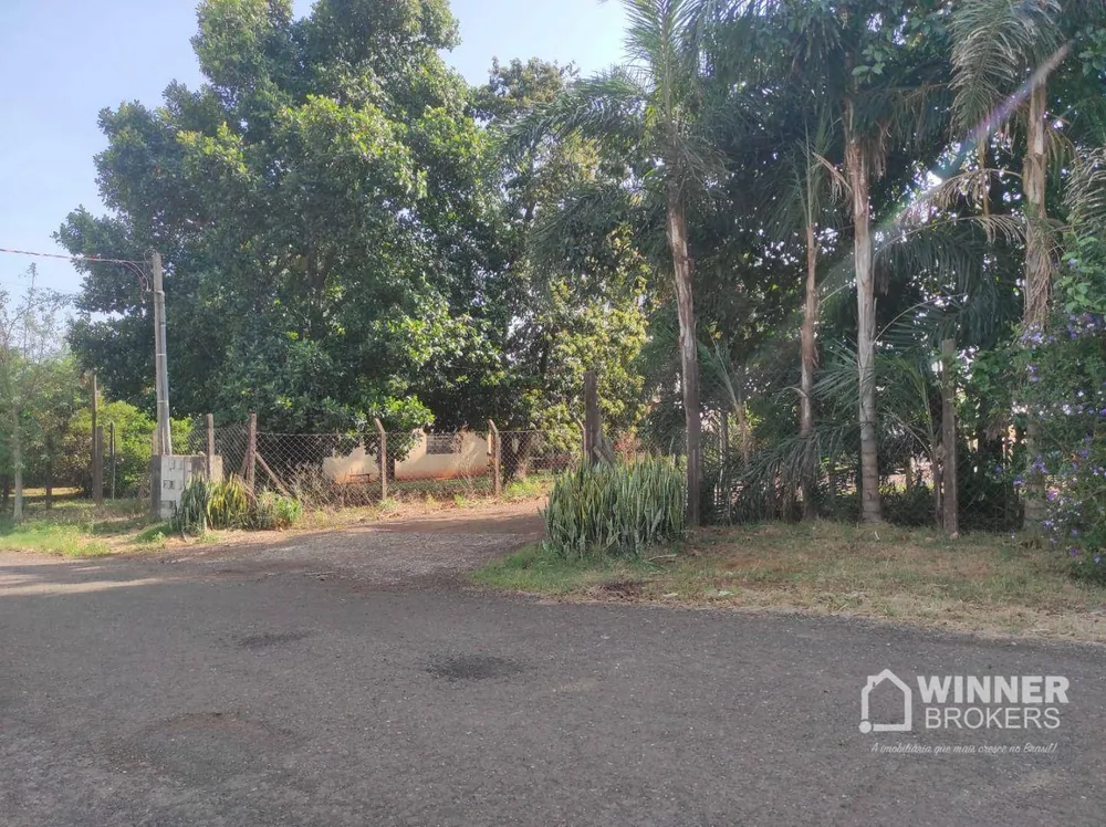Chácara, 3 quartos, 1 hectares - Foto 7
