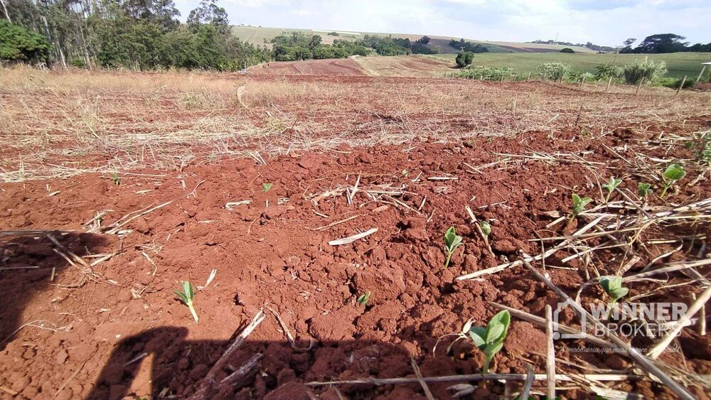 Chácara à venda, 27000M2 - Foto 2