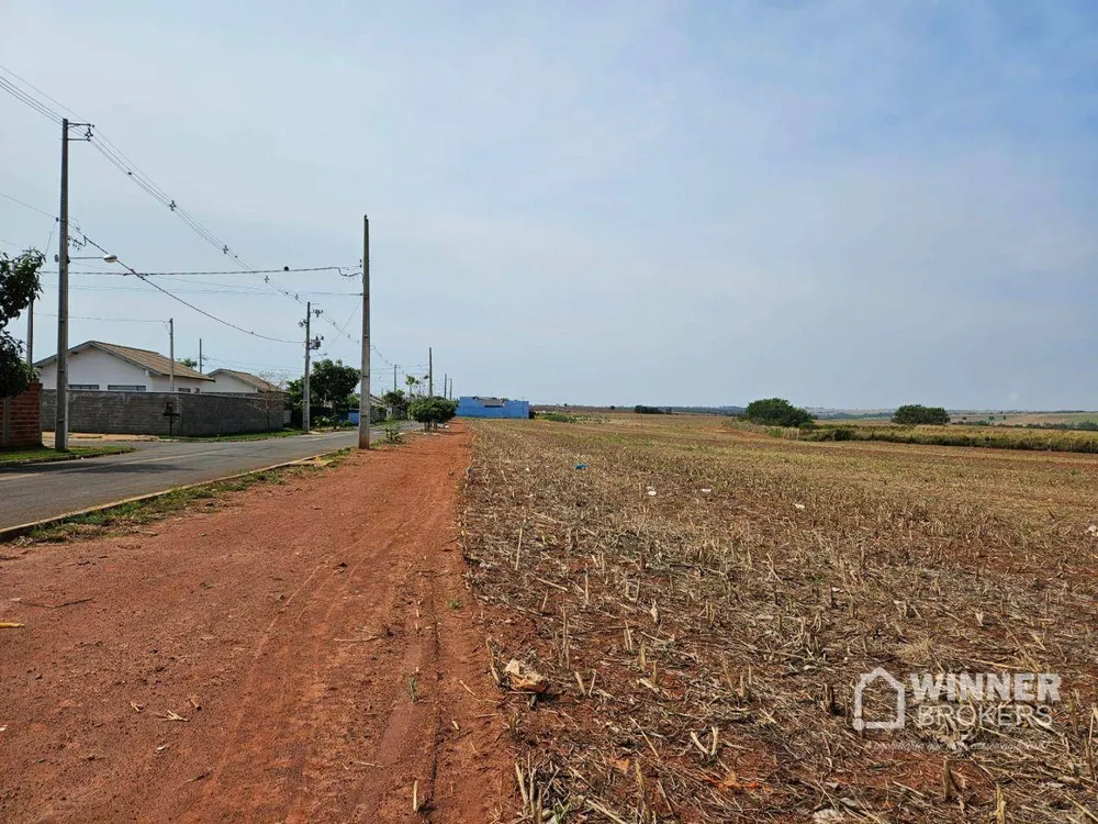 Terreno, 17 hectares - Foto 4