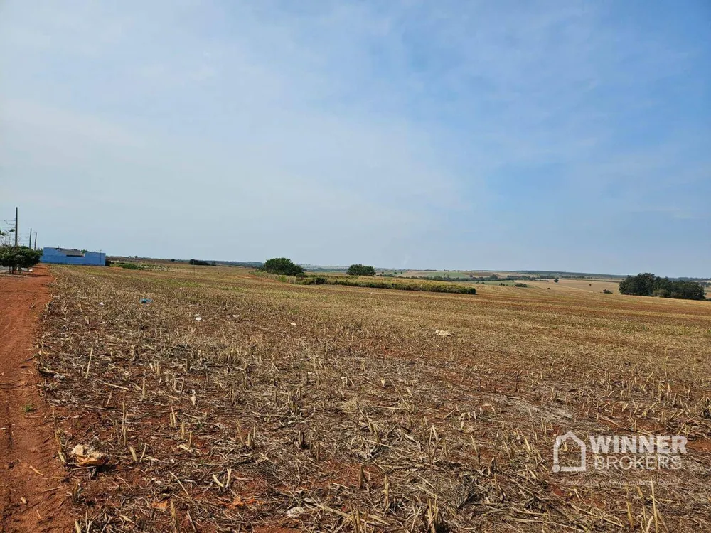 Terreno, 17 hectares - Foto 11