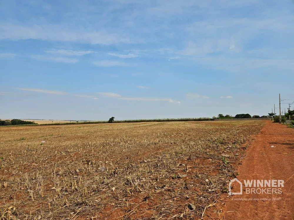 Terreno, 17 hectares - Foto 8