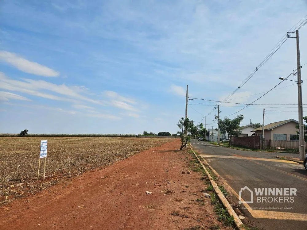 Terreno, 17 hectares - Foto 7
