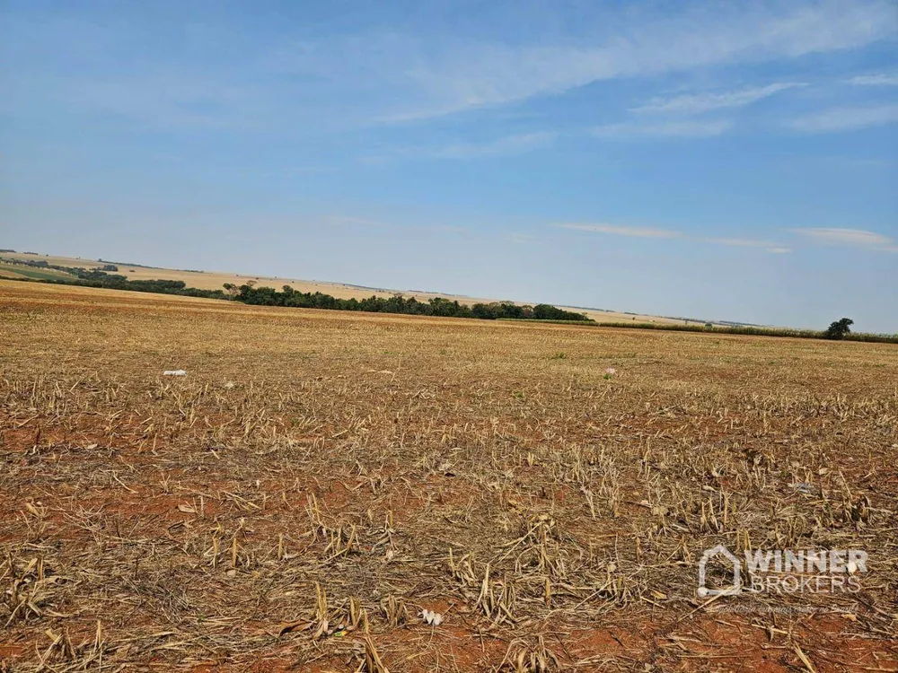 Terreno, 17 hectares - Foto 6