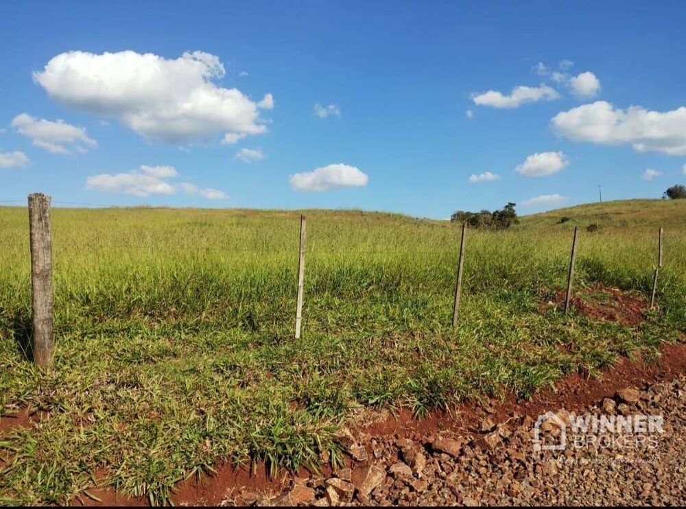 Fazenda à venda com 2 quartos, 2299000M2 - Foto 12