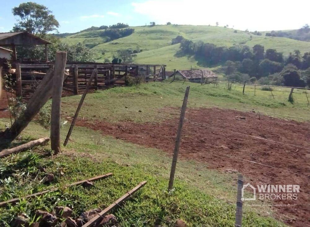 Fazenda à venda com 2 quartos, 2299000M2 - Foto 7