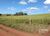 Fazenda-Sítio-Chácara, 230 hectares - Foto 10