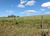 Fazenda, 230 hectares - Foto 3