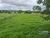 Chácara, 16 hectares - Foto 3