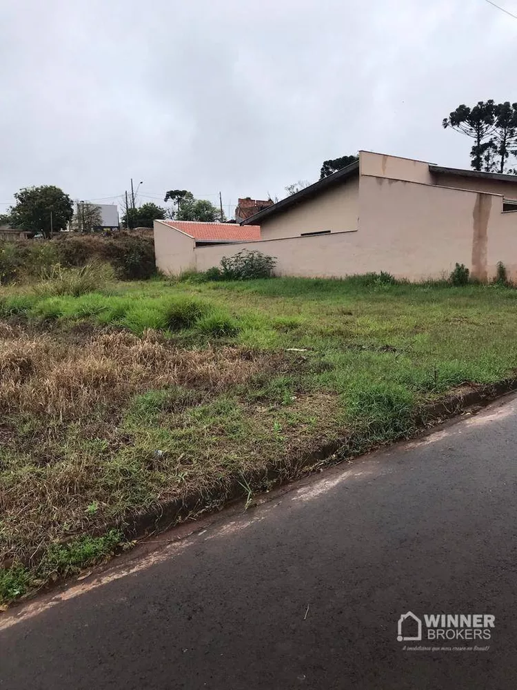 Terreno à venda, 312M2 - Foto 2