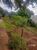 Terreno, 333 m² - Foto 2