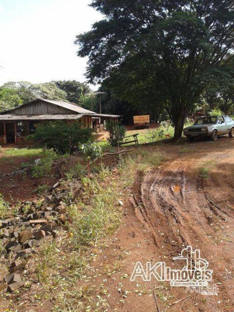 Chácara, 1 quarto, 4 hectares - Foto 2