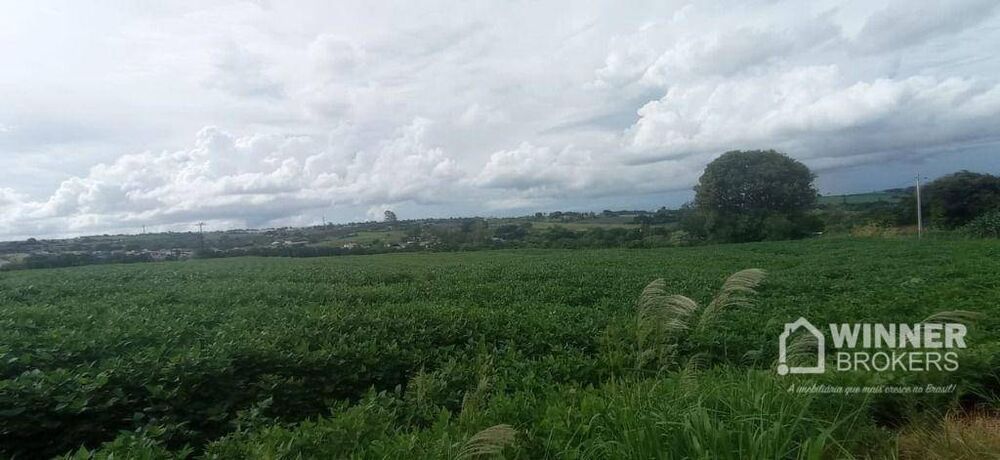 Chácara, 1 quarto, 4 hectares - Foto 11