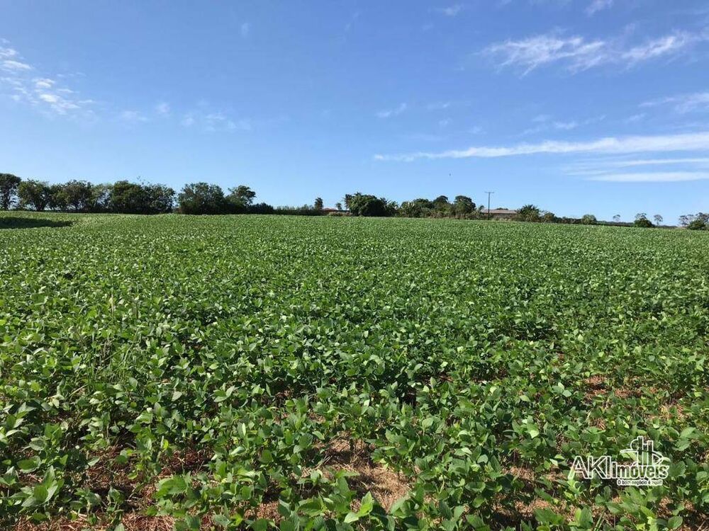 Chácara, 1 quarto, 4 hectares - Foto 10