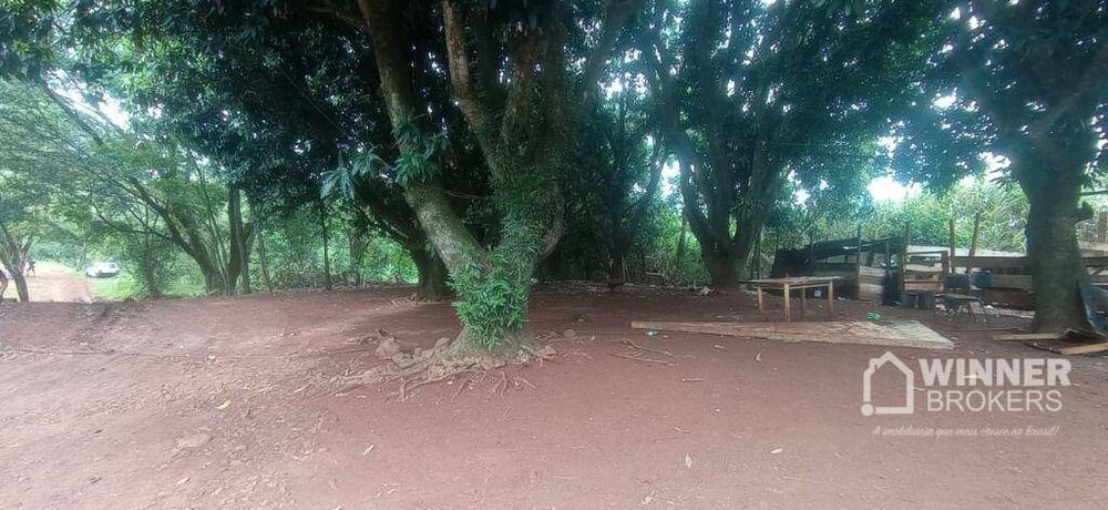 Chácara, 1 quarto, 4 hectares - Foto 12