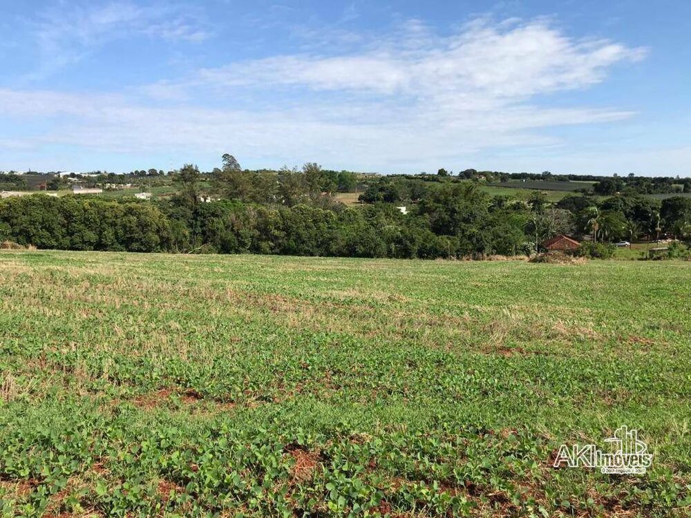 Chácara, 1 quarto, 4 hectares - Foto 8