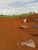 Chácara, 1 quarto, 4 hectares - Foto 4